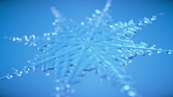 Abstract Ice Snowflake