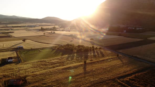 Drone View Over Tropical Nature Rice Fields