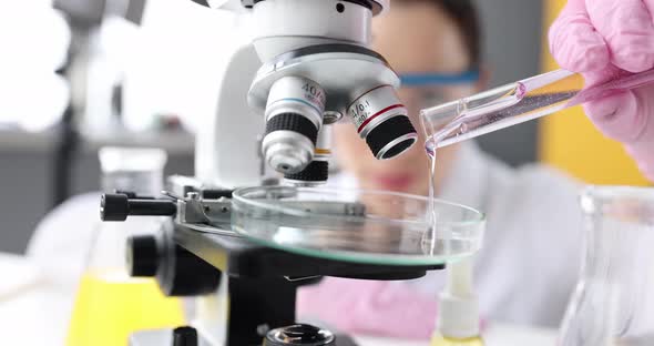 Female Laboratory Assistant Adds Clear Liquid Gel to Petri Dish