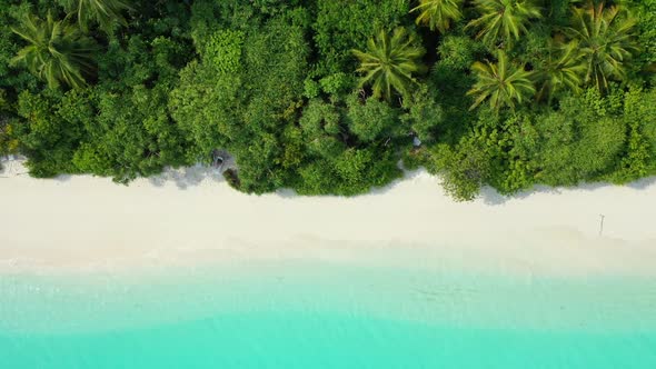 Aerial view texture of tropical tourist beach wildlife by blue water and white sandy background of a
