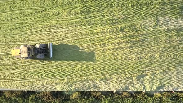 Upper View Silator Tamps Silo Pit with Fodder for Animals