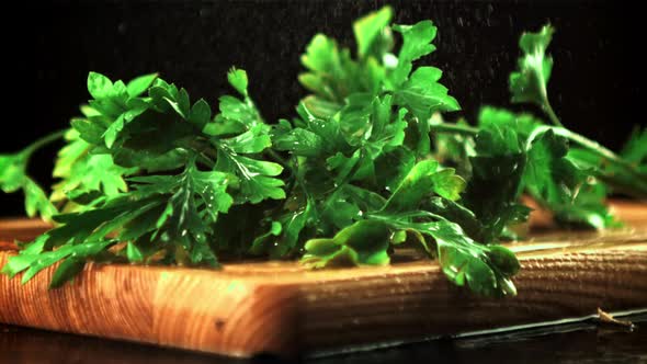 Drops of Water Fall on Fresh Parsley
