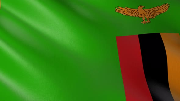 Flag of The Zambia