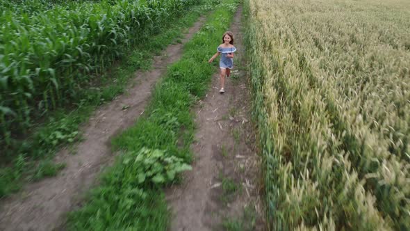 The Girl in a Sundress Runs on a Field Road