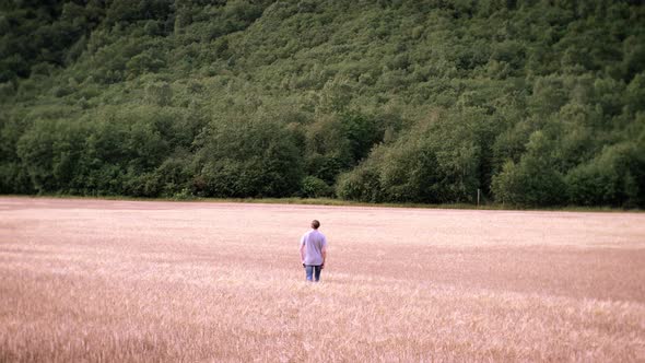 Man walking on a beautiful meadow / grass field in norway with forest background. Norway, Europe, 4K