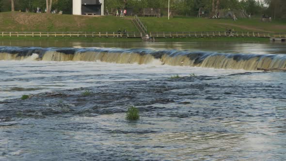 Flying Fish at Ventas Rumba Waterfall. The Widest Waterfall in Europe in Latvia Kuldiga