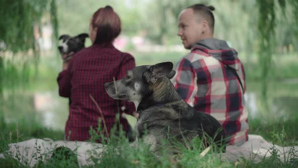 Relaxed Domestic Dog Lying on Green Grass with Blurred Couple Sitting on Lake Shore and Talking 