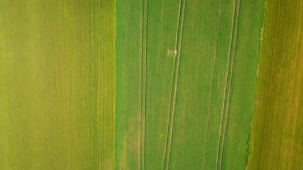 Aerial with Top Down View on Young Summer Field