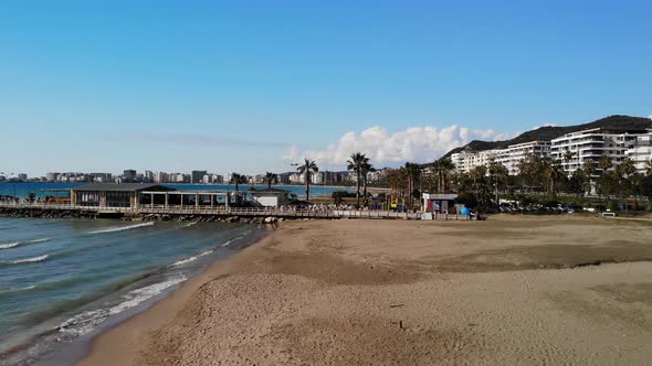 Drone Shot of the Beach in a Bright Day with Palm Trees and Blue Water