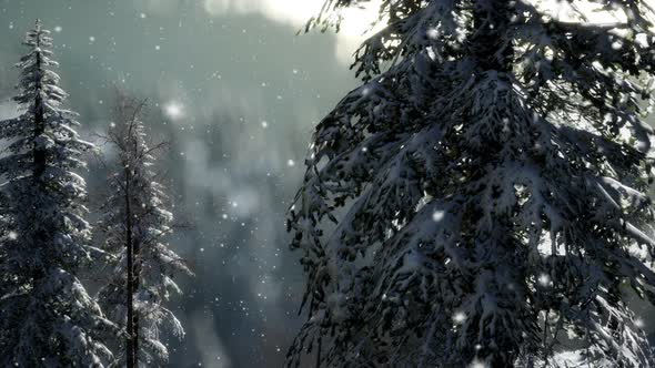 Misty Fog in Pine Forest on Mountain Slopes alt