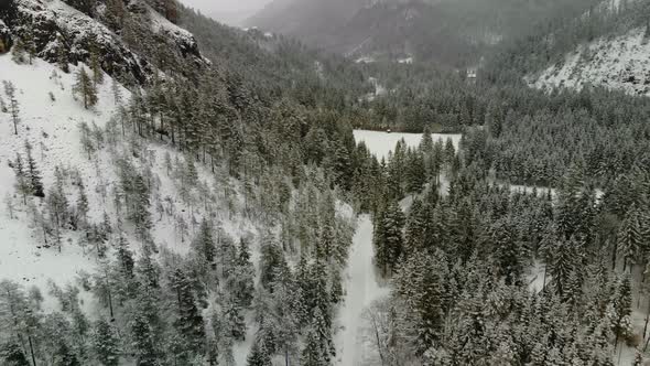 Beautiful view on an Forest with Mountains in Schiederweiher in Upper Austria Drone Video