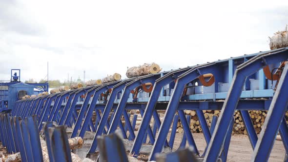 Automated Log Sorting Line. Wheel Loader and Automatic Sorting Logs Diameter at the Sawmill. Lumber