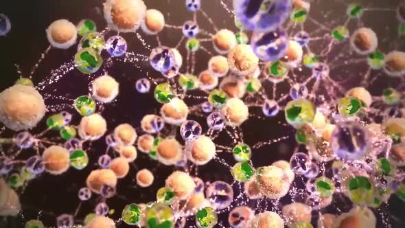 Cell and bacteria interactions 3d medical