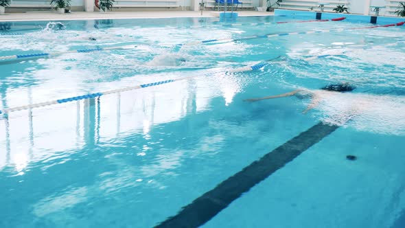 Three Male Athletes Participating in a Swimming Competition