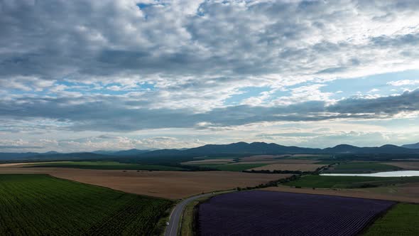 Aerial Hyperlapse Above Agricultural Plantations