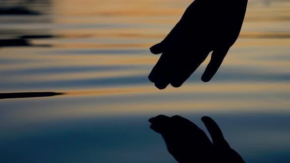 Gently Touches The Surface Of Water With Your Fingertips In The Golden Sunset