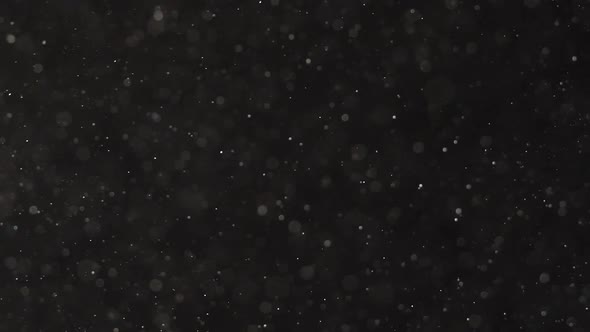 Microscopic Pieces of Dust Falling From Top To Bottom on a Black Background.