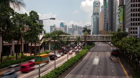 Hong Kong Street Roads with Green Palms on Median