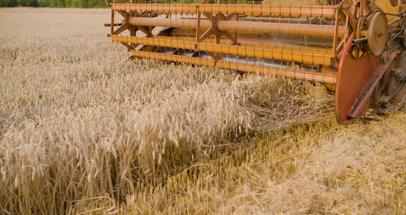 Harvesting. Combine Harvester Harvesting Wheat