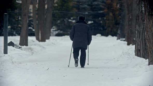 Elderly Grandfather - Old Grandfather Is Engaging in Nordic Walking in the Park