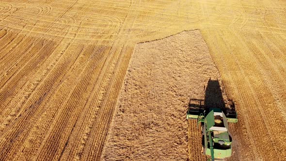 Wheat Harvest time in Turkey. Combine harvester working on a wheat field