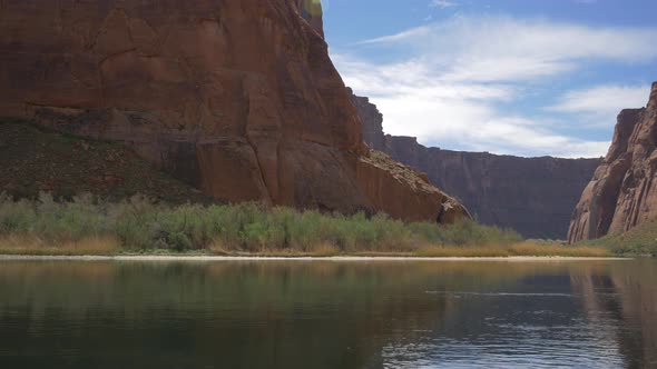 Green bushes on the river bank