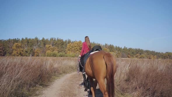 Back View of a Young Caucasian Female Equestrian Riding the Black Horse on the Dirt Road and Holding