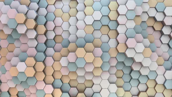 Hexagon Background 01 