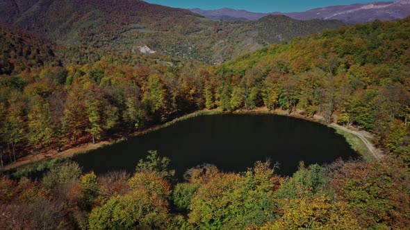 Aerial Drone Zoom in of Autumn Forest Trees Near Gosh Lake in Armenia