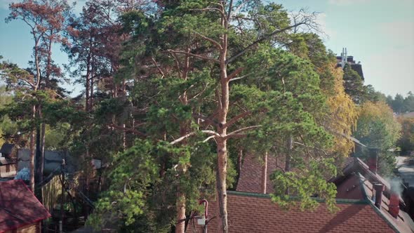 Beautiful brick cottages in ecological place