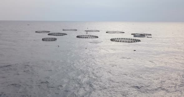 Aquaculture Aerial View