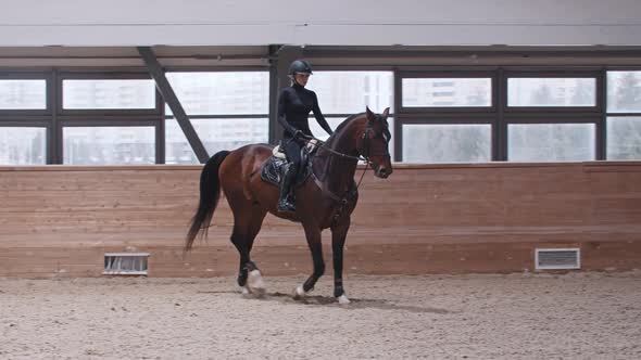 Equestrian  a Woman Slowly Rides a Horse on a Hippodrome