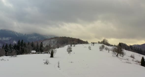 Forest Covered with Snow Aerial View. Aerial View of Village in Mountains