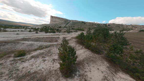 Fpv Sport Drone Fast Cinematic Shot. Large Valley with Rare Pine Trees and Steep White Cliff Under