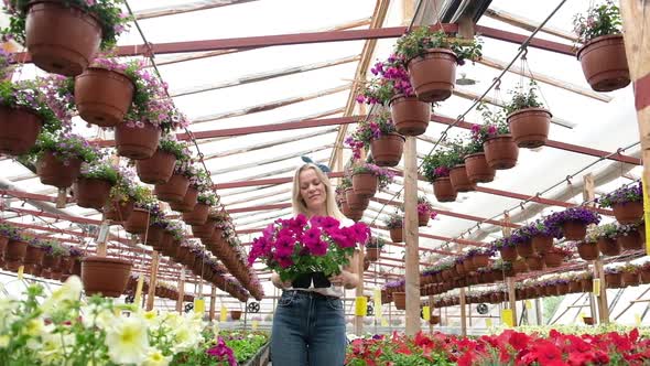 happy florist holds a box of blooming bright flowers in the greenhouse.