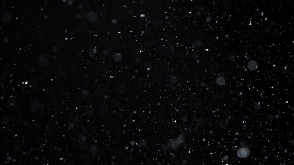 Super Slow Motion Shot of Falling Rain Drops at 1000Fps Isolated on Black Background