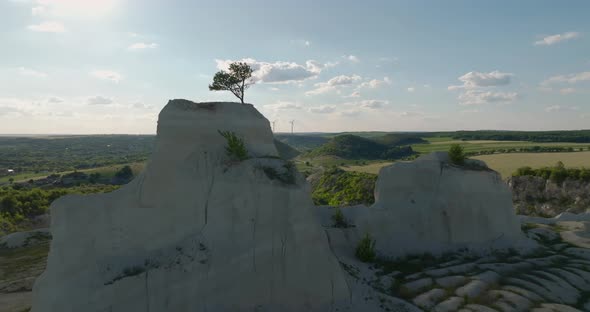 aerial shot of a tree on cliff with dissapearing and appearing wind turbines on horizon