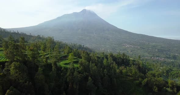 Merapi volcano with rural view of vegetable plantation with dense of trees, central java, Indonesia.