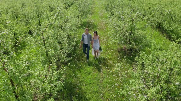 Aerial View of Happy Couple Walking Among Trees