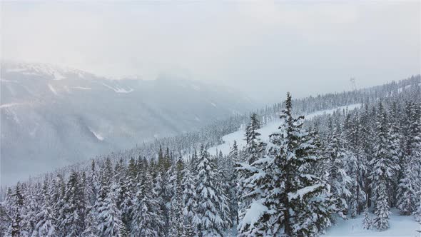 Snowy Forest on Top of the Mountains in Winter During Snow Fall