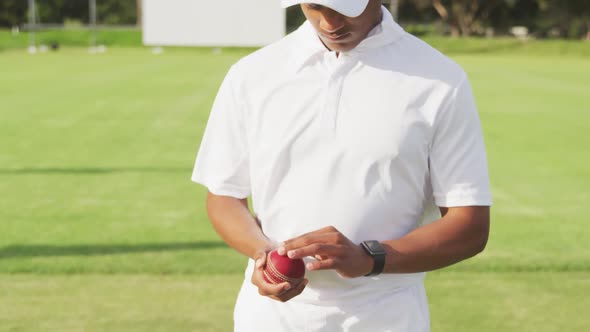 Cricket player with ball looking at the camera