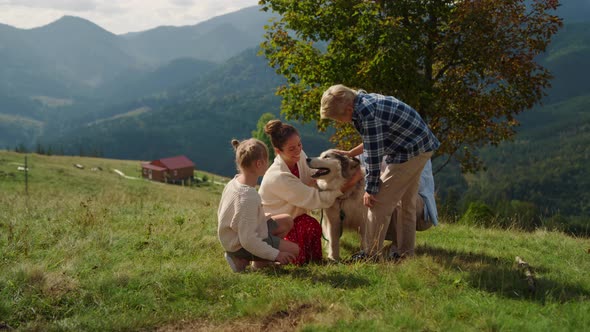 Family Dog Feeling Happy on Mountains Slope