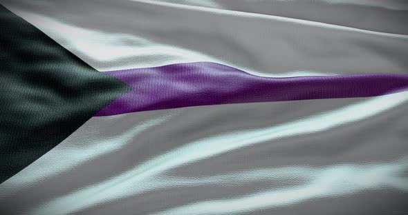 Demisexual waving flag animation 4K