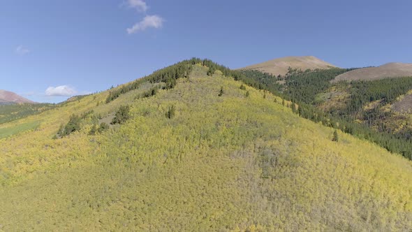 Fall foliage at Boreas Pass, CO