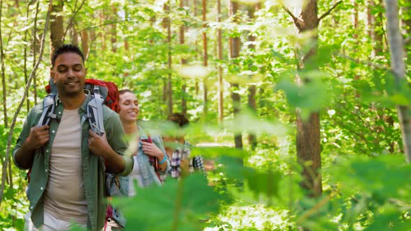 Group of Friends with Backpacks Hiking in Forest