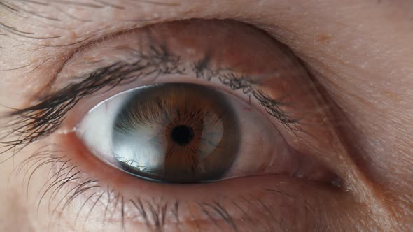 Beautiful Male Eye with Brown Iris and Retina Long Black Eyelashes Eyeball