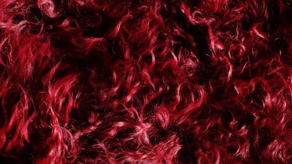 Fur background. Fluffy burgundy fur texture.