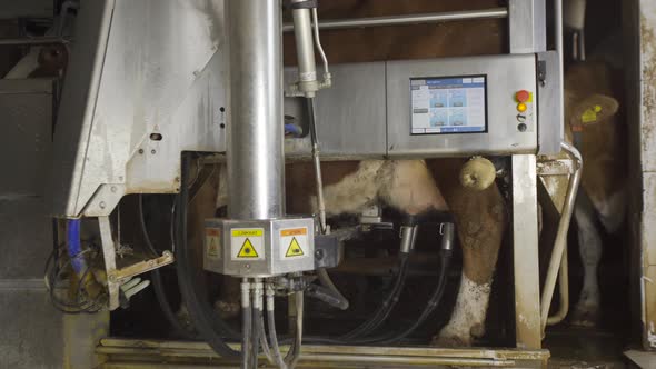 State of the art milking machine.