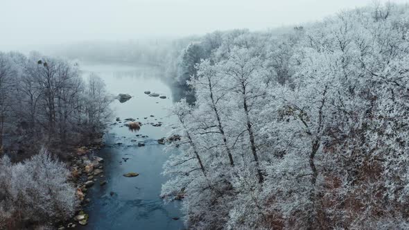 Beautiful nature in winter. 