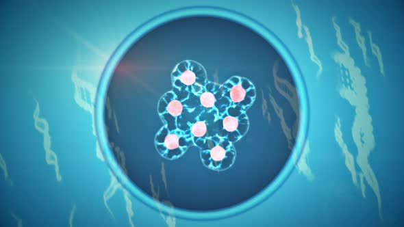 Cells Growing In A Tissue Culture Petri Dish